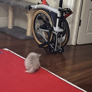 2023 Brompton Bicycle 1035617 Silver, gray or bare metal