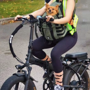 2021 Rattan LM 750W Black