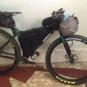 2014 Surly Krampus Green