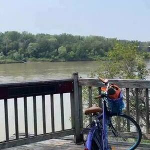 2020 Everyday Bicycles Queen St- Casual/Series Purple