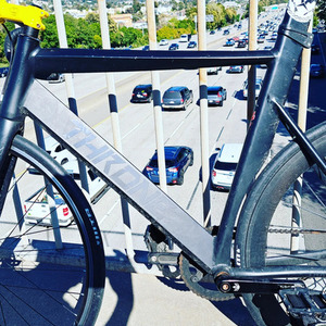 2021 Throne Cycles TRKLRD Black