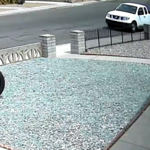 ENGWE Silver, gray or bare metal