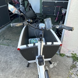 2021 Urban Arrow Family White and Black