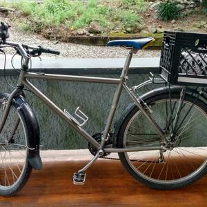 Specialized Rockhopper 29 Silver, gray or bare metal