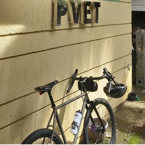 2022 Avenue Gravel Bike Black and Black