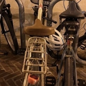 Ozone Monte Vista Pink