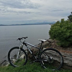 2014 Trek X-caliber 8 Black