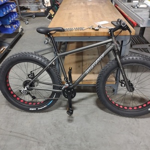 2023 Gravity Bullseye monster Silver, gray or bare metal