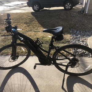 2021 Giant Roam e plus Black