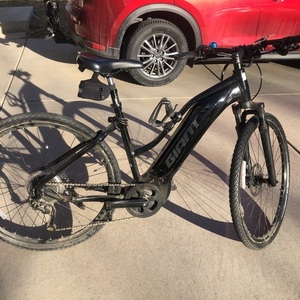 2021 Giant Roam e plus Black