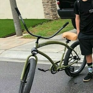 2020 Skull x Bones Beach Cruiser Green