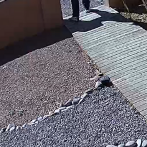 Unknown - dent in high step bar and glow in dark rims Single speed White