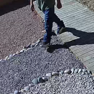 Unknown - dent in high step bar and glow in dark rims Single speed White