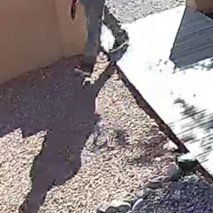 Unknown - dent in high step bar and glow in dark rims Single speed White