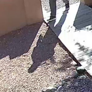 Unknown - dent in high step bar and glow in dark rims Single speed White