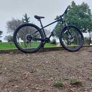 2022 Specialized Rockhopper sport 29 Green