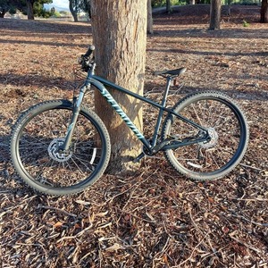 2022 Specialized Rockhopper sport 29 Green