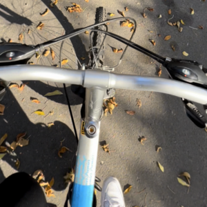 Infinity Cycle Works Premier Blue and Silver, gray or bare metal