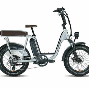 2022 Rad Power Bikes Rad Runner Plus Silver, gray or bare metal