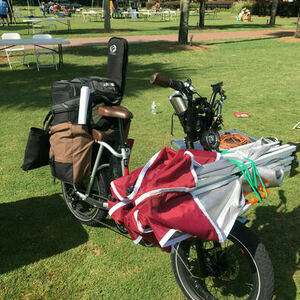 2022 Rad Power Bikes Rad Runner Plus Silver, gray or bare metal