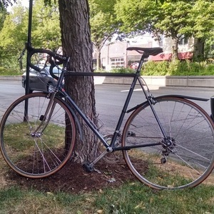 Gitane Silver, gray or bare metal