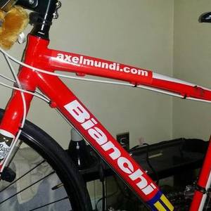 2013 Bianchi camaleonte Red