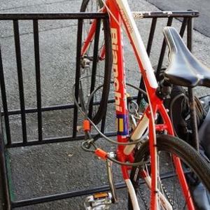 2013 Bianchi camaleonte Red