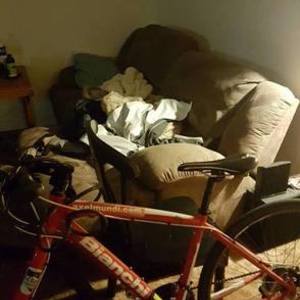 2013 Bianchi camaleonte Red