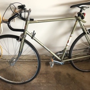 1969 Peugeot Record du Monde Silver, gray or bare metal