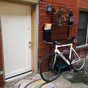 Aventón Track White