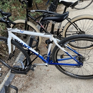 2018 Giant Giant TCX White and Blue