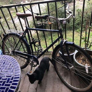 2014 Pure Fix Cycles Classic City Blue