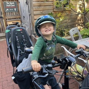 2019 Tern GSD 400Wh - Matte Silver Blue Matt Blue