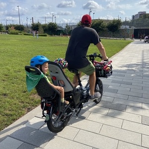 2019 Tern GSD 400Wh - Matte Silver Blue Matt Blue