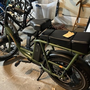2022 Rad Power Bikes Rad Runner Green
