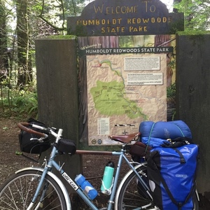 2015 All City Space Horse Blue