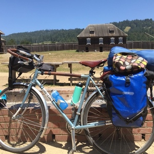 2015 All City Space Horse Blue