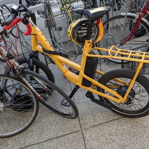 REI Co-op Generation Yellow or Gold