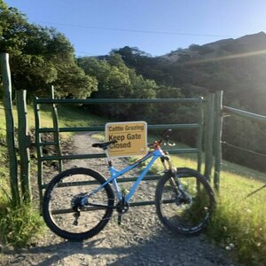 2015 production privee Shan 27 917 Teal and Orange