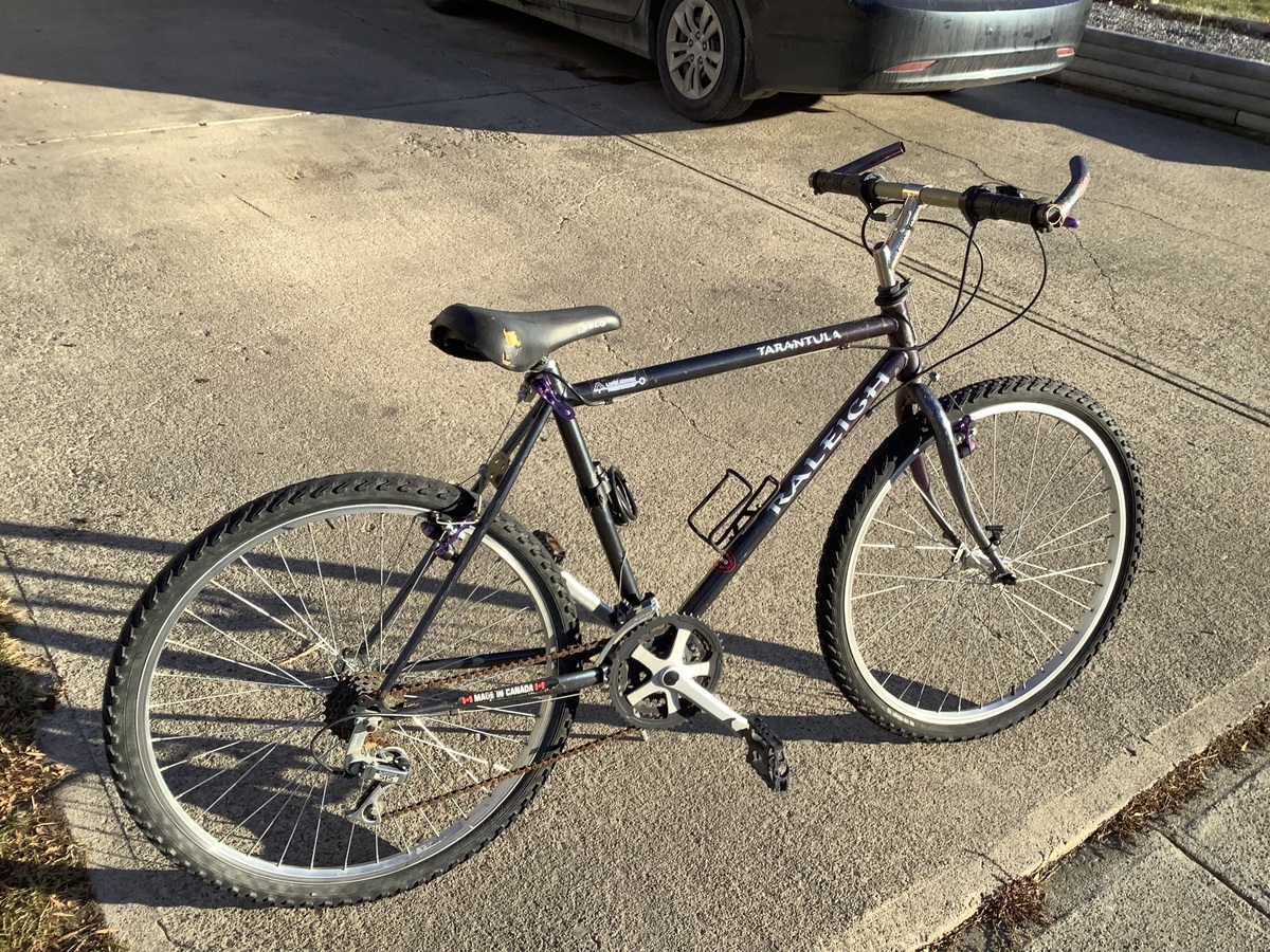 Tarantula Bike 2015 Raleigh Tarantula
