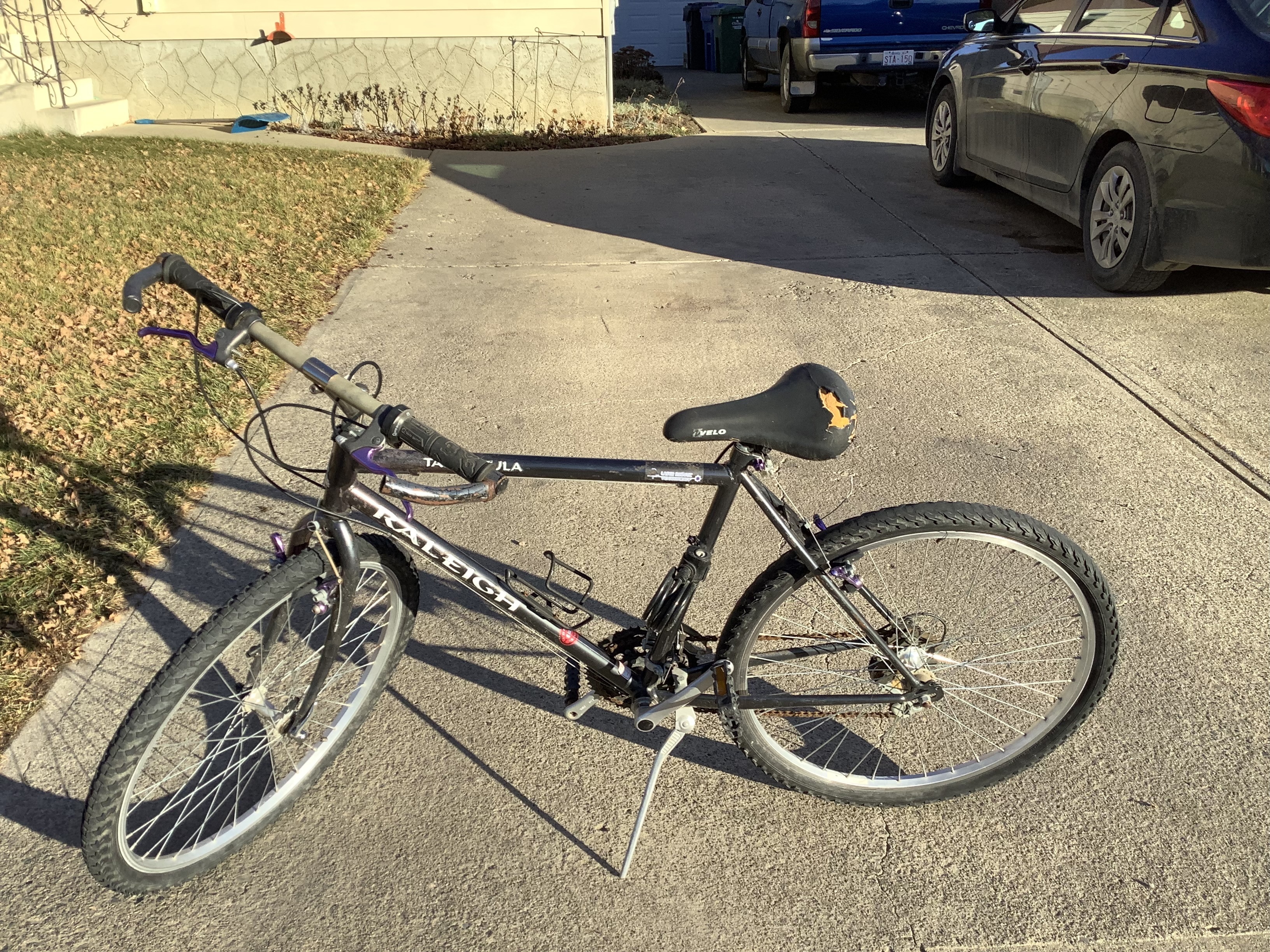 Tarantula Bike 2015 Raleigh Tarantula