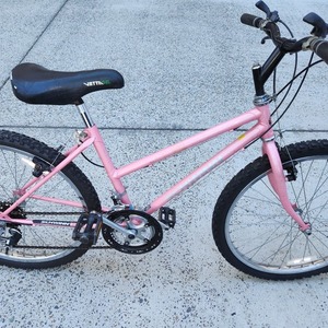 2023 Schwinn Frontier Pink