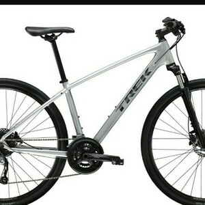 2019 Trek Silver, gray or bare metal