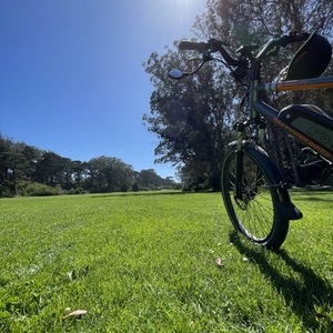 2019 Rad Power Bikes RadCity Silver, gray or bare metal