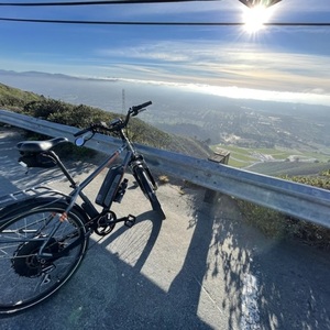 2019 Rad Power Bikes RadCity Silver, gray or bare metal