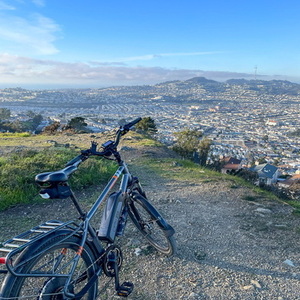 2019 Rad Power Bikes RadCity Silver, gray or bare metal