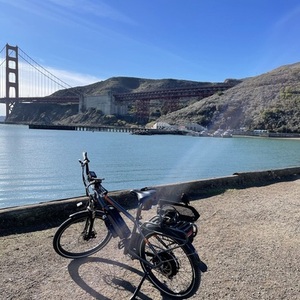 2019 Rad Power Bikes RadCity Silver, gray or bare metal