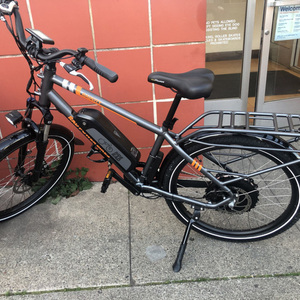 2019 Rad Power Bikes RadCity Silver, gray or bare metal