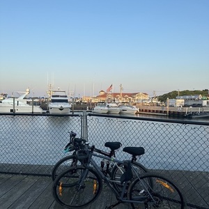 2018 Kona B665 Silver, gray or bare metal