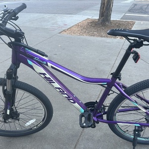 2023 Hiland Gamille Purple and Green